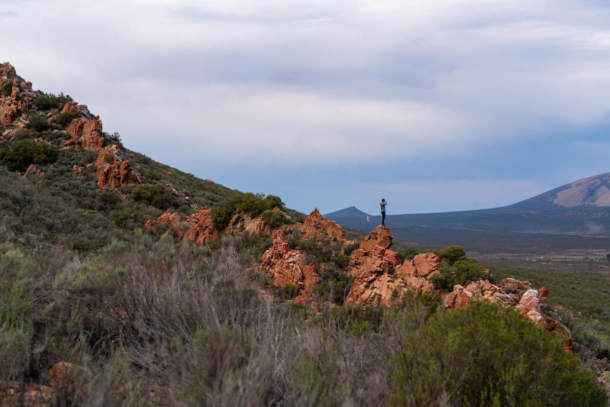 فيلا Gecko Rock Private Nature Reserve Goedgemoed المظهر الخارجي الصورة