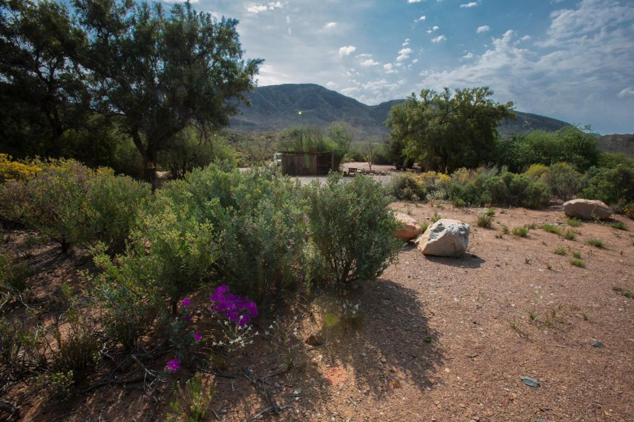 فيلا Gecko Rock Private Nature Reserve Goedgemoed المظهر الخارجي الصورة